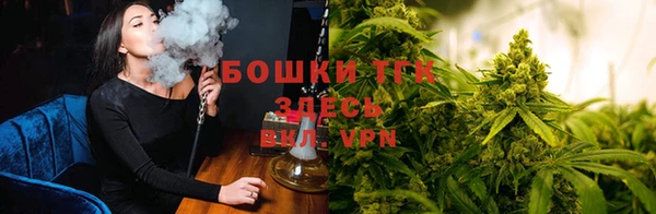 хмурый Карталы