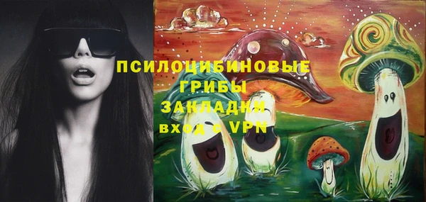 хмурый Карталы