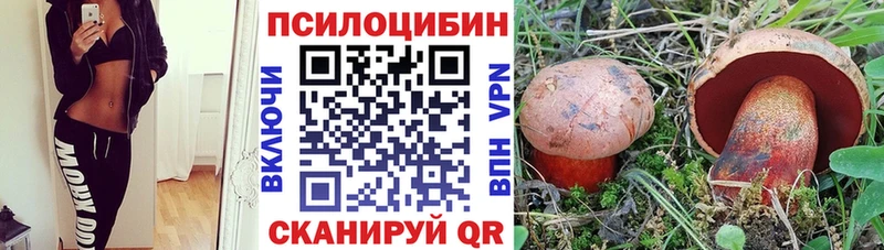 Псилоцибиновые грибы Magic Shrooms  Купить закладки  Норильск 